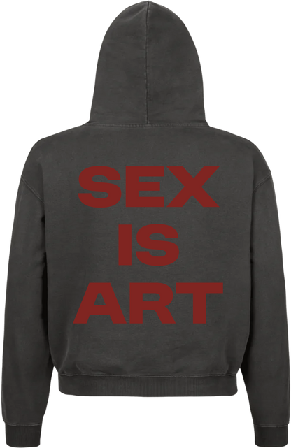 Se* Is Art - Vintage Grey Hoodie